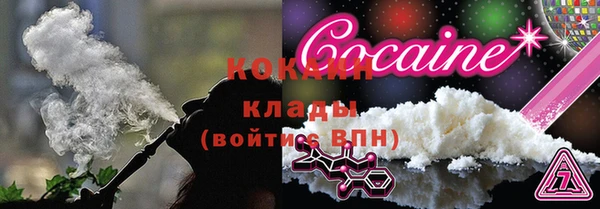 прущие грибы Михайловка