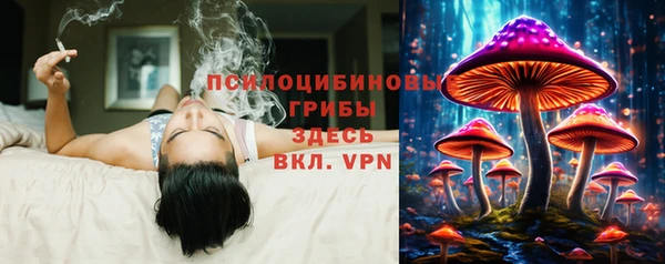 спиды Наволоки