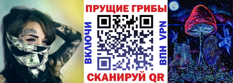 Галлюциногенные грибы GOLDEN TEACHER  Купить где  Хадыженск 