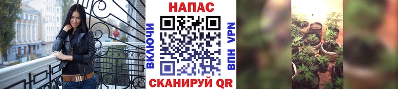 Бошки Шишки OG Kush  Купить  Хадыженск 